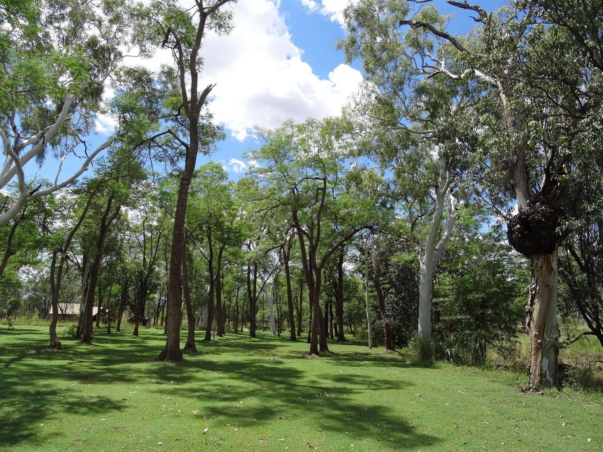 Bell Gorge Wilderness Lodge King Leopold Ranges Exteriör bild